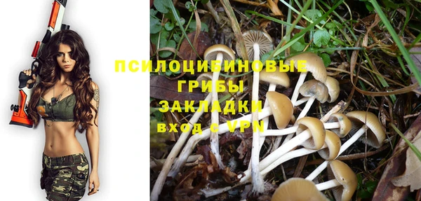 apvp Балахна