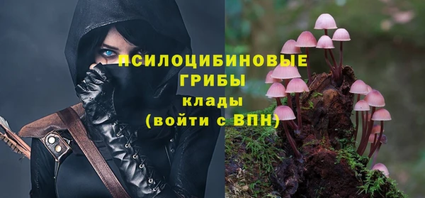 apvp Балахна